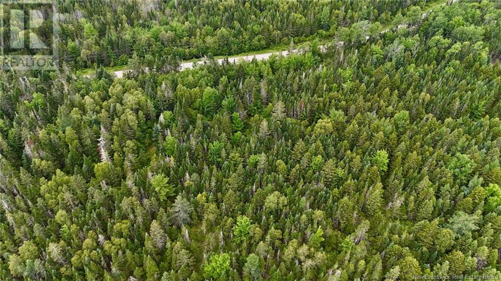 00 740 Route, Basswood Ridge, New Brunswick  E3L 5A8 - Photo 17 - NB123251