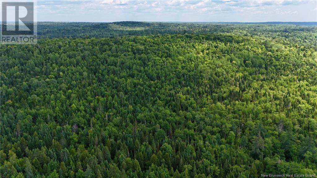 00 740 Route, Basswood Ridge, New Brunswick  E3L 5A8 - Photo 18 - NB123251