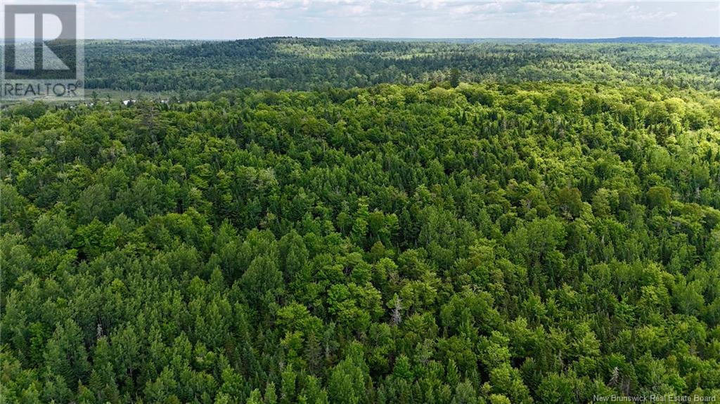 00 740 Route, Basswood Ridge, New Brunswick  E3L 5A8 - Photo 19 - NB123251