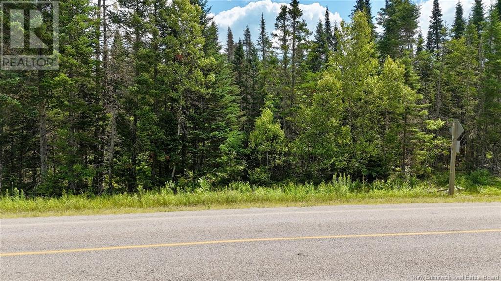 00 740 Route, Basswood Ridge, New Brunswick  E3L 5A8 - Photo 2 - NB123251