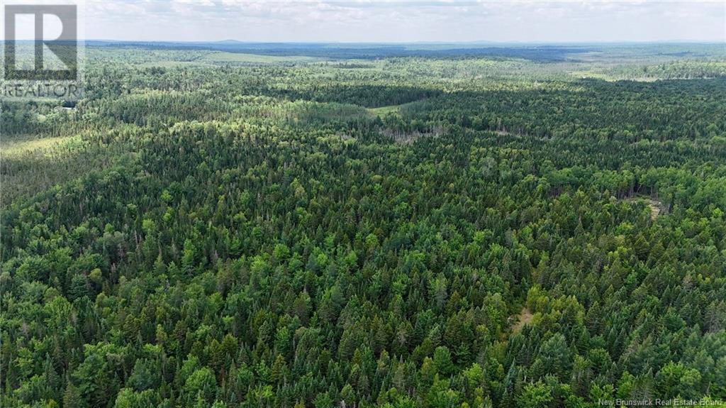 00 740 Route, Basswood Ridge, New Brunswick  E3L 5A8 - Photo 20 - NB123251