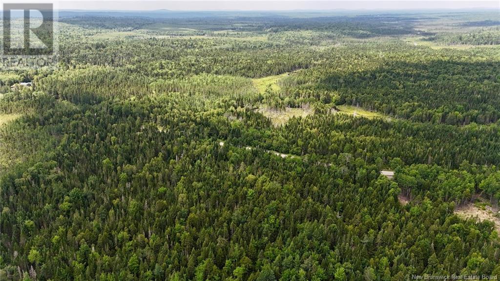 00 740 Route, Basswood Ridge, New Brunswick  E3L 5A8 - Photo 21 - NB123251