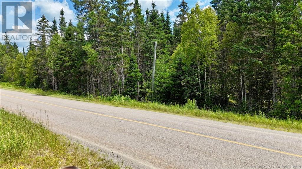 00 740 Route, Basswood Ridge, New Brunswick  E3L 5A8 - Photo 3 - NB123251