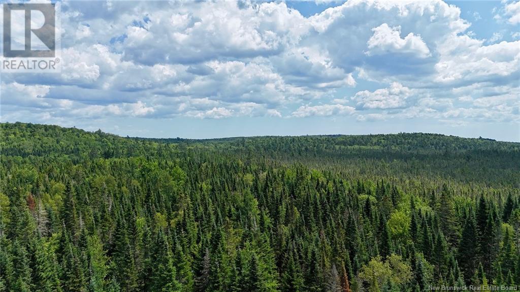 00 740 Route, Basswood Ridge, New Brunswick  E3L 5A8 - Photo 4 - NB123251