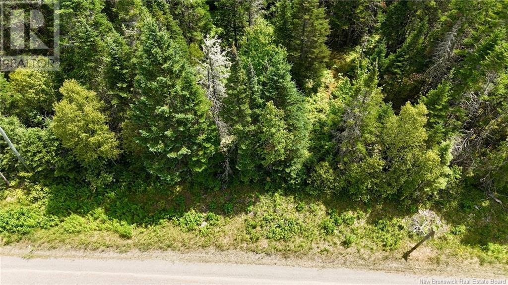 00 740 Route, Basswood Ridge, New Brunswick  E3L 5A8 - Photo 5 - NB123251