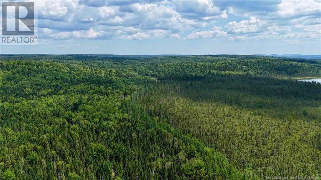 00 740 Route, Basswood Ridge, New Brunswick  E3L 5A8 - Photo 6 - NB123251