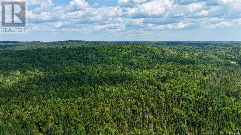 00 740 Route, Basswood Ridge, New Brunswick  E3L 5A8 - Photo 7 - NB123251