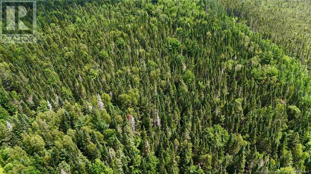00 740 Route, Basswood Ridge, New Brunswick  E3L 5A8 - Photo 8 - NB123251