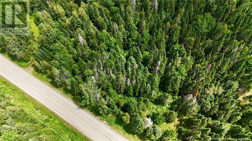 00 740 Route, Basswood Ridge, New Brunswick  E3L 5A8 - Photo 9 - NB123251