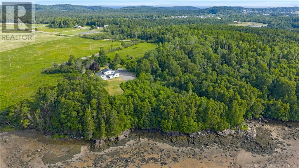 100 Nason Street, Blacks Harbour, New Brunswick  E5H 1A3 - Photo 50 - NB123628