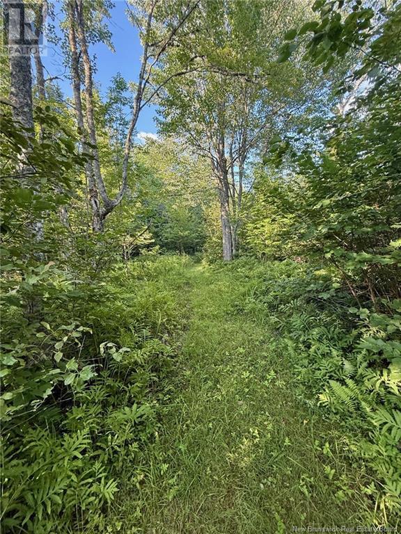 92-7 Loon Bay Road, Loon Bay, New Brunswick  E5A 1H8 - Photo 29 - NB123878