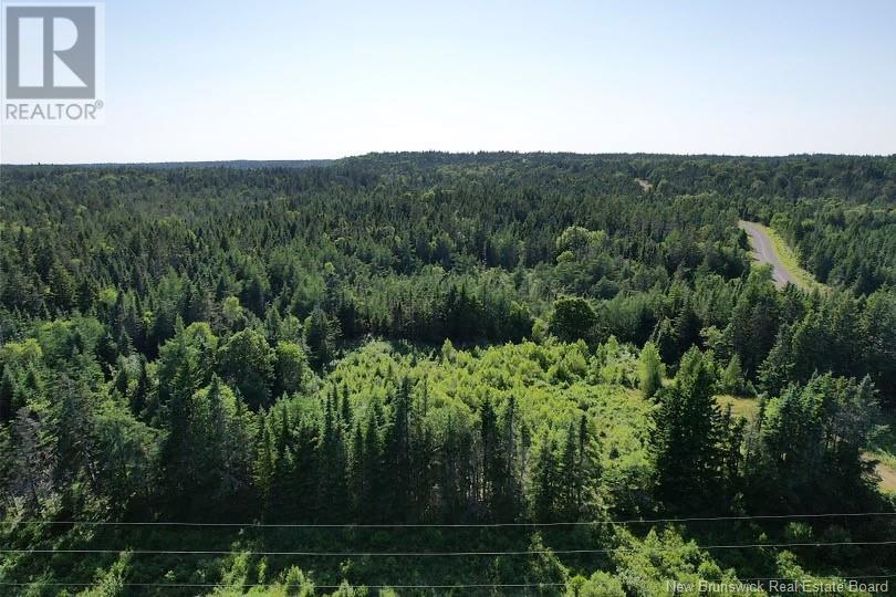 Dark Harbour Road, Grand Manan, New Brunswick  E5G 1C6 - Photo 2 - NB123962