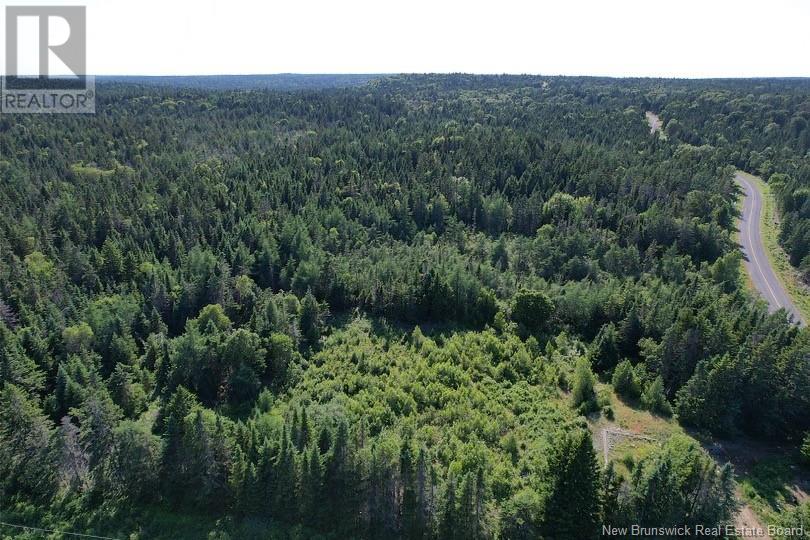 Dark Harbour Road, Grand Manan, New Brunswick  E5G 1C6 - Photo 3 - NB123962
