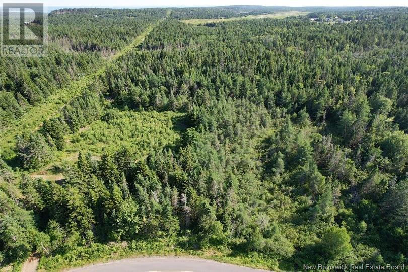 Dark Harbour Road, Grand Manan, New Brunswick  E5G 1C6 - Photo 4 - NB123962