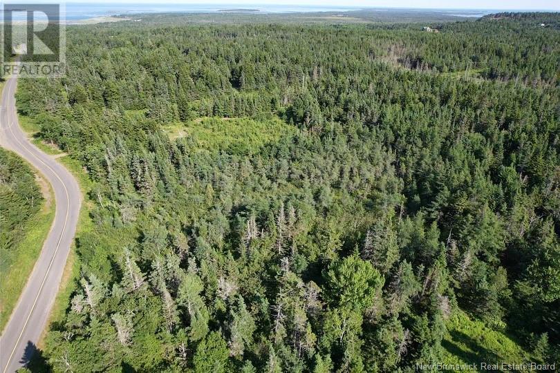 Dark Harbour Road, Grand Manan, New Brunswick  E5G 1C6 - Photo 5 - NB123962