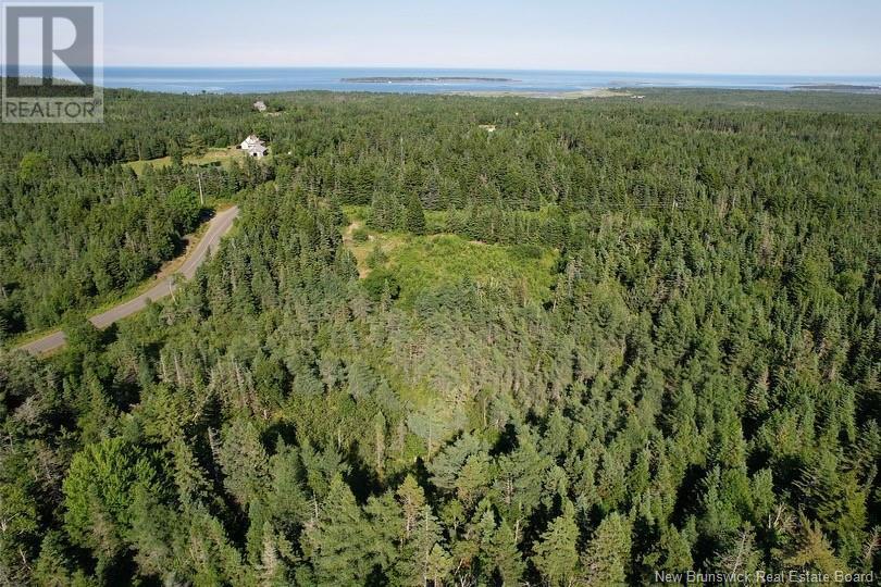Dark Harbour Road, Grand Manan, New Brunswick  E5G 1C6 - Photo 6 - NB123962
