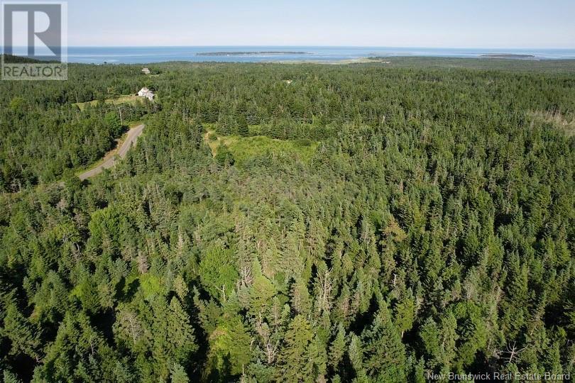 Dark Harbour Road, Grand Manan, New Brunswick  E5G 1C6 - Photo 7 - NB123962
