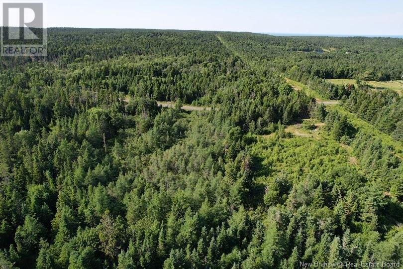Dark Harbour Road, Grand Manan, New Brunswick  E5G 1C6 - Photo 8 - NB123962