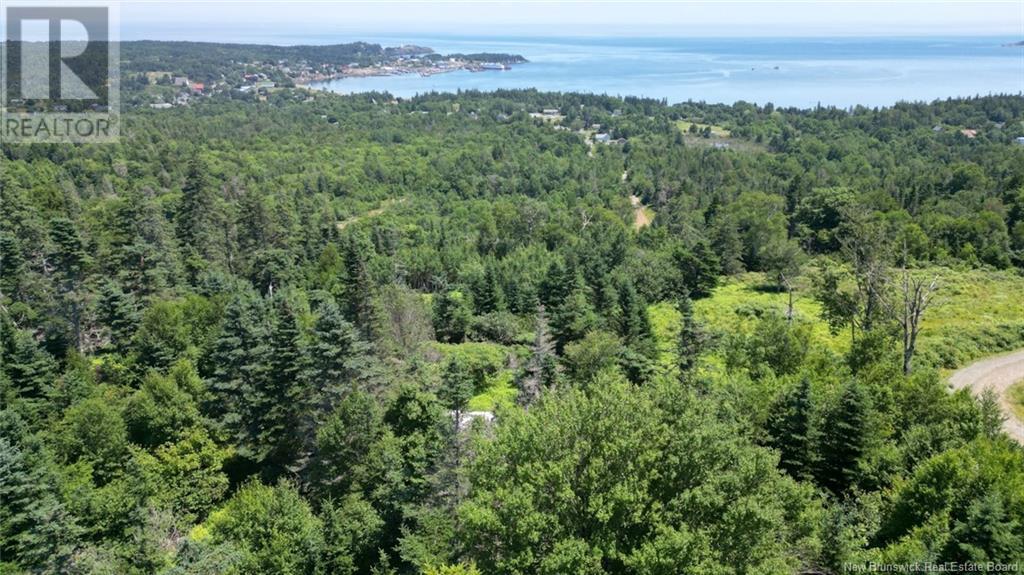 Lot 04-01 Green Street, Grand Manan, New Brunswick  E5G 4B8 - Photo 16 - NB124027