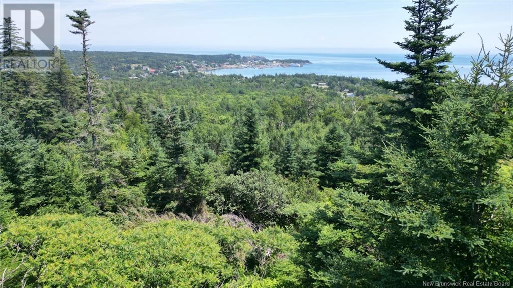 Lot 04-01 Green Street, Grand Manan, New Brunswick  E5G 4B8 - Photo 18 - NB124027