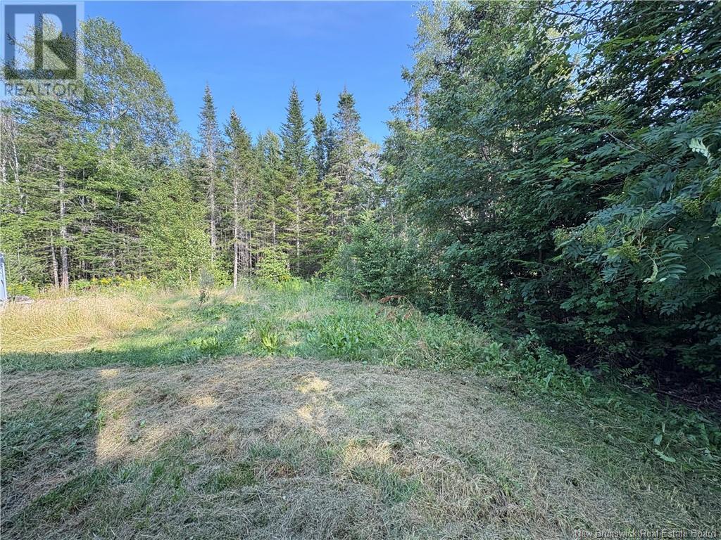 232 Brittain Road, Nerepis, New Brunswick  E5K 3R9 - Photo 18 - NB124040