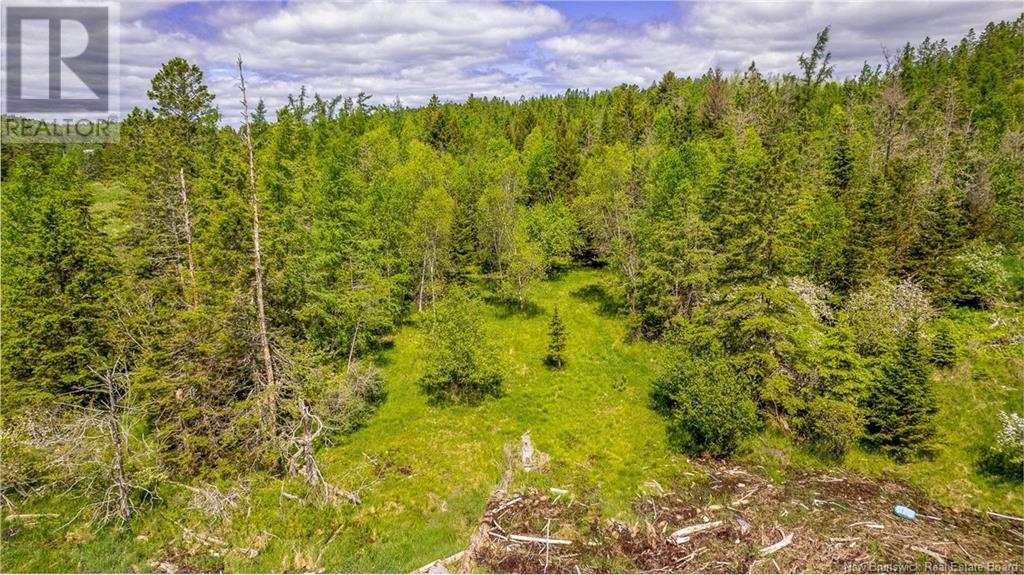 Lot Glebe Road, Chamcook, New Brunswick  E5B 3C3 - Photo 4 - NB124112