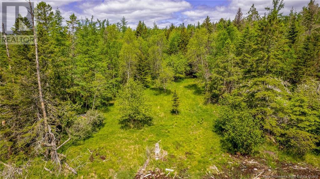 Lot Glebe Road, Chamcook, New Brunswick  E5B 3C3 - Photo 5 - NB124112