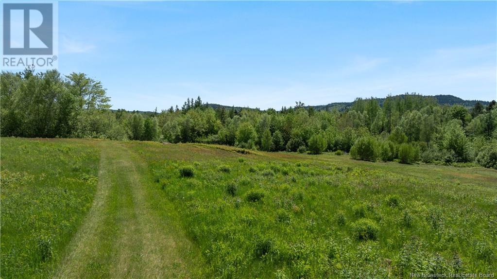 Digdeguash River Lot 760 Route, Johnson Settlement, New Brunswick  E5A 1R9 - Photo 12 - NB124095