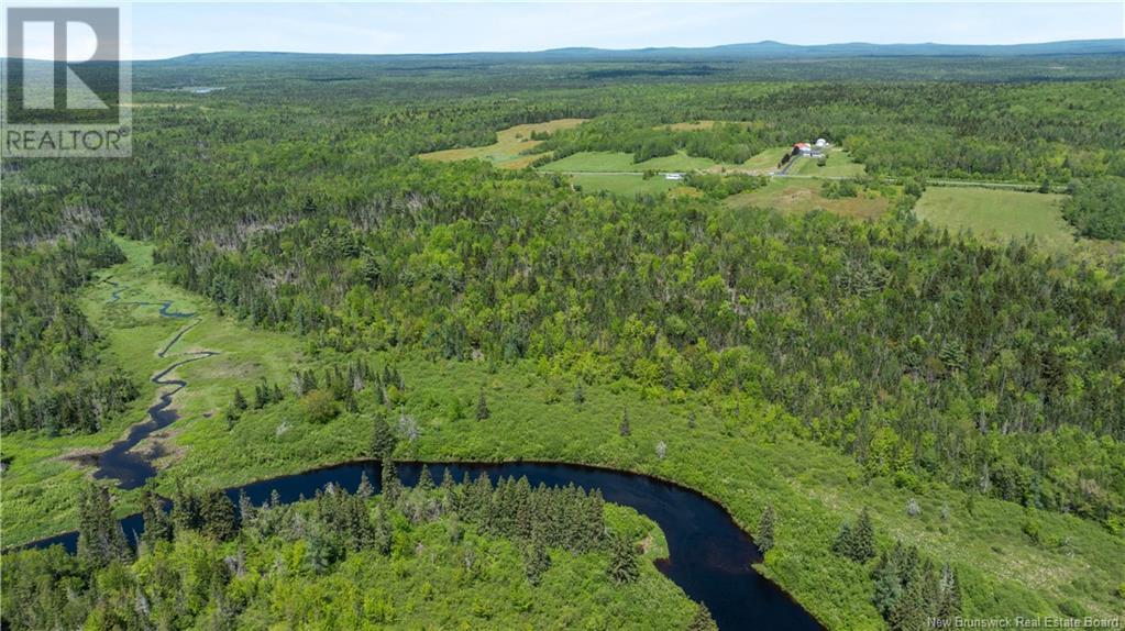 Digdeguash River Lot 760 Route, Johnson Settlement, New Brunswick  E5A 1R9 - Photo 7 - NB124095