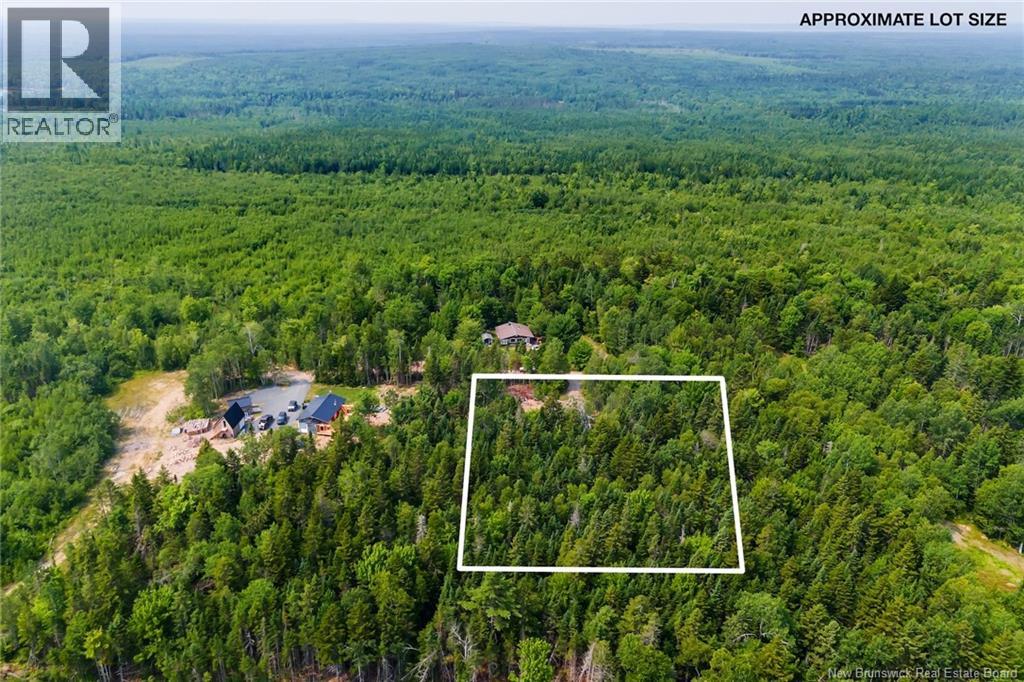 45 Fosters Lane, Peltoma Settlement, New Brunswick  E5L 0B3 - Photo 7 - NB124412
