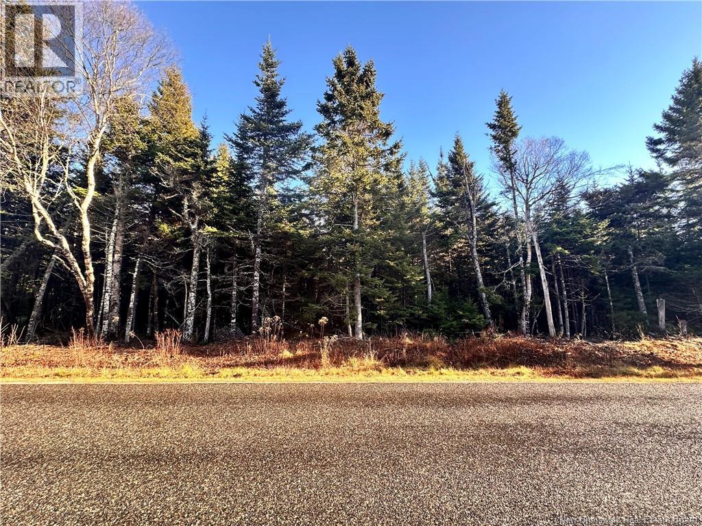 Haggertys Cove Road, New River Beach, New Brunswick  E5J 1J5 - Photo 7 - NB124377