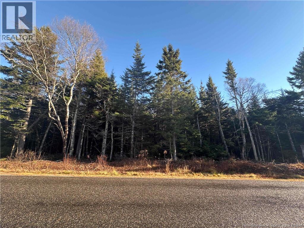 Haggertys Cove Road, New River Beach, New Brunswick  E5J 1J5 - Photo 8 - NB124377