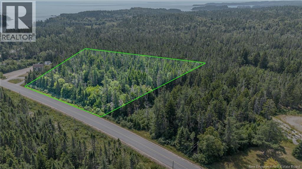 Seeleys Cove Road, Crow Harbour, New Brunswick  E5H 2H3 - Photo 3 - NB124815