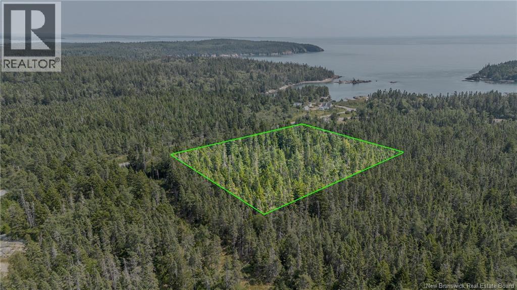 Seeleys Cove Road, Crow Harbour, New Brunswick  E5H 2H3 - Photo 4 - NB124815