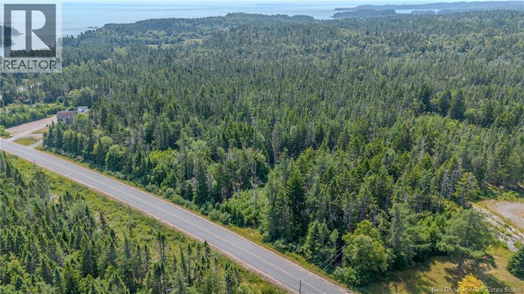 Seeleys Cove Road, Crow Harbour, New Brunswick  E5H 2H3 - Photo 5 - NB124815