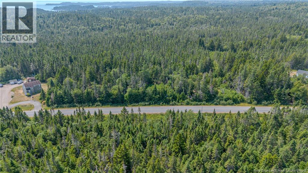 Seeleys Cove Road, Crow Harbour, New Brunswick  E5H 2H3 - Photo 7 - NB124815