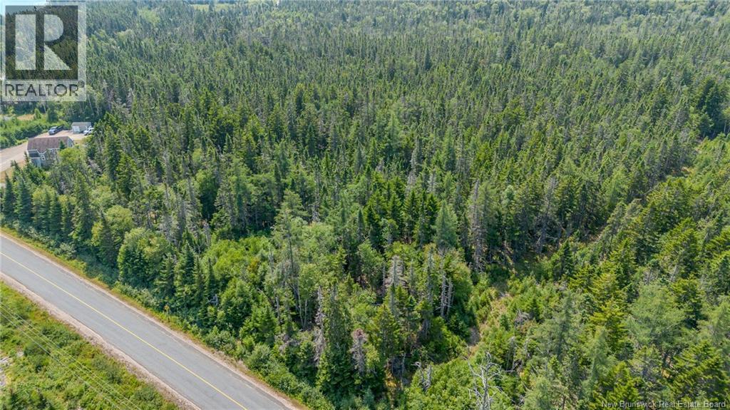 Seeleys Cove Road, Crow Harbour, New Brunswick  E5H 2H3 - Photo 8 - NB124815