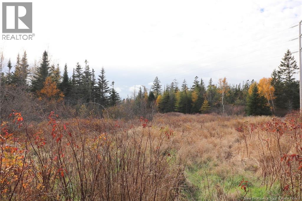 16 Ingalls Head Road, Grand Manan, New Brunswick  E5G 3G2 - Photo 37 - NB124926