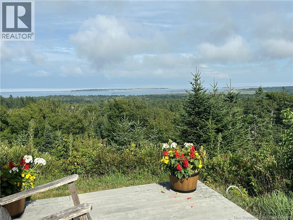 350 Dock Road, Grand Manan, New Brunswick  E5G 1C4 - Photo 24 - NB124955