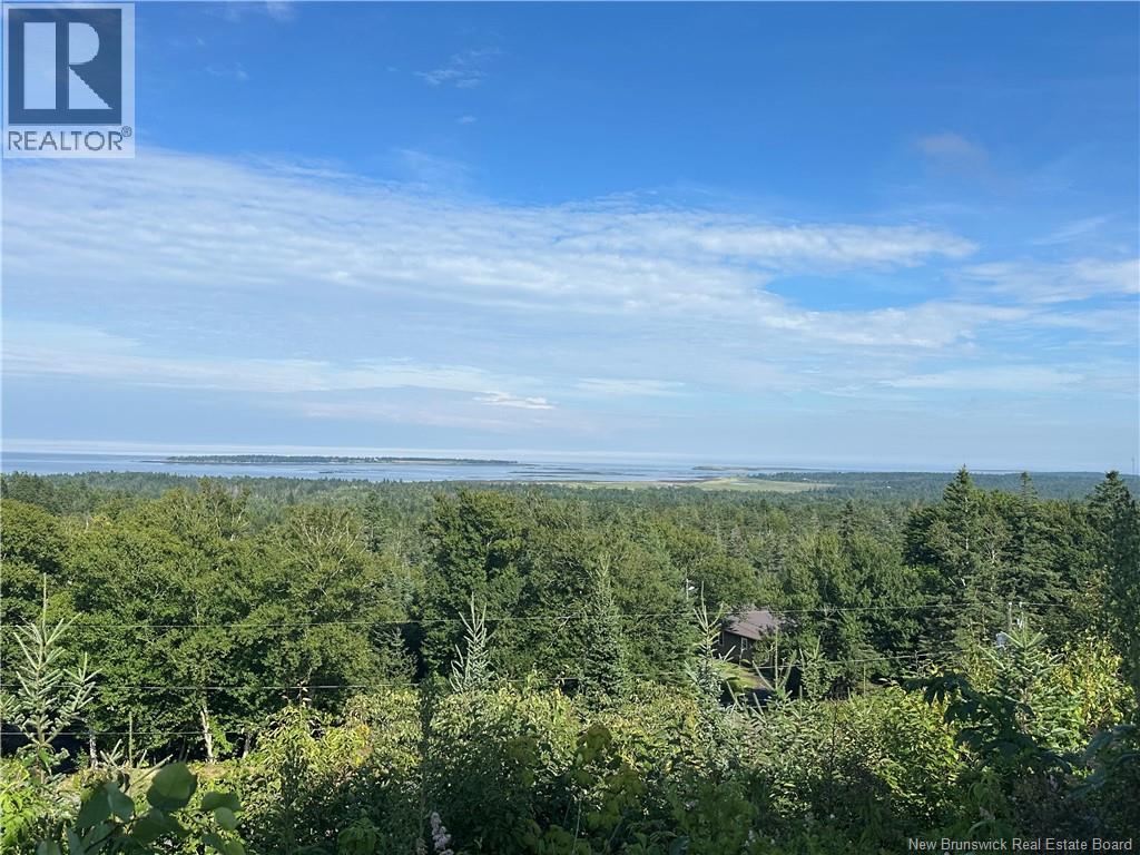 350 Dock Road, Grand Manan, New Brunswick  E5G 1C4 - Photo 3 - NB124955