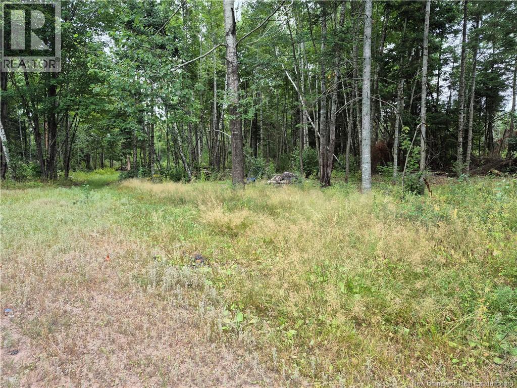 3901 Rte 101, Tracyville, New Brunswick  E5L 1P5 - Photo 15 - NB125024