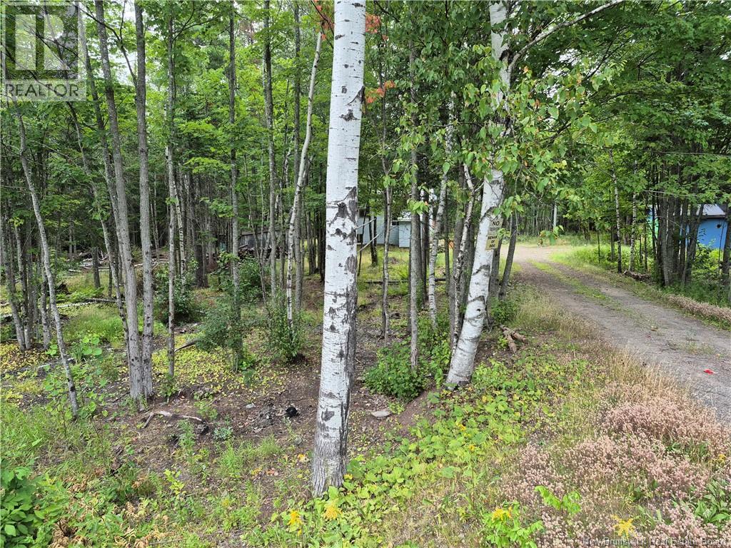 3901 Rte 101, Tracyville, New Brunswick  E5L 1P5 - Photo 2 - NB125024