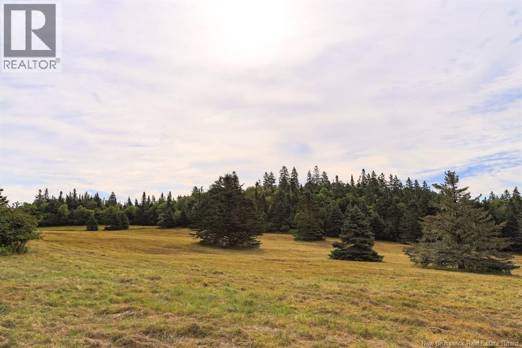 841 Main Street, Beaver Harbour, New Brunswick  E5H 1K3 - Photo 12 - NB125324