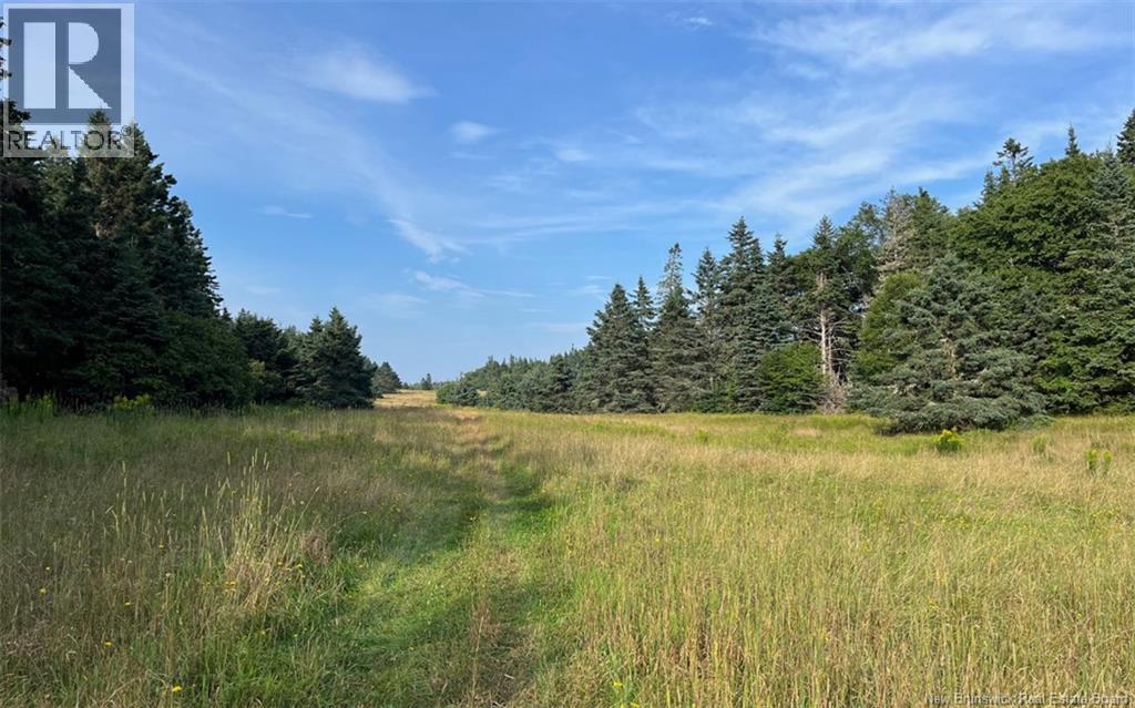 841 Main Street, Beaver Harbour, New Brunswick  E5H 1K3 - Photo 13 - NB125324