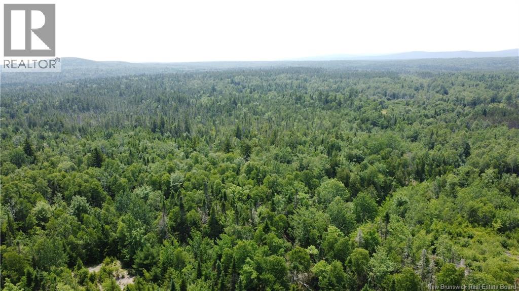 461 Kingdom Road, Grand Bay-Westfield, New Brunswick  E5K 4X3 - Photo 39 - NB123417