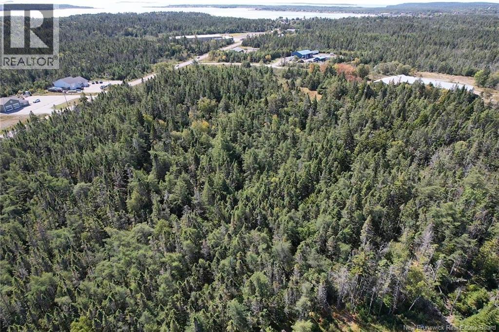 Route 776, Grand Manan, New Brunswick  E5G 4E6 - Photo 2 - NB126426