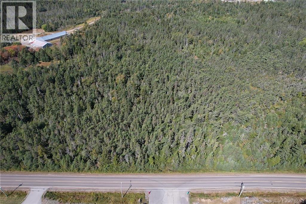 Route 776, Grand Manan, New Brunswick  E5G 4E6 - Photo 5 - NB126426