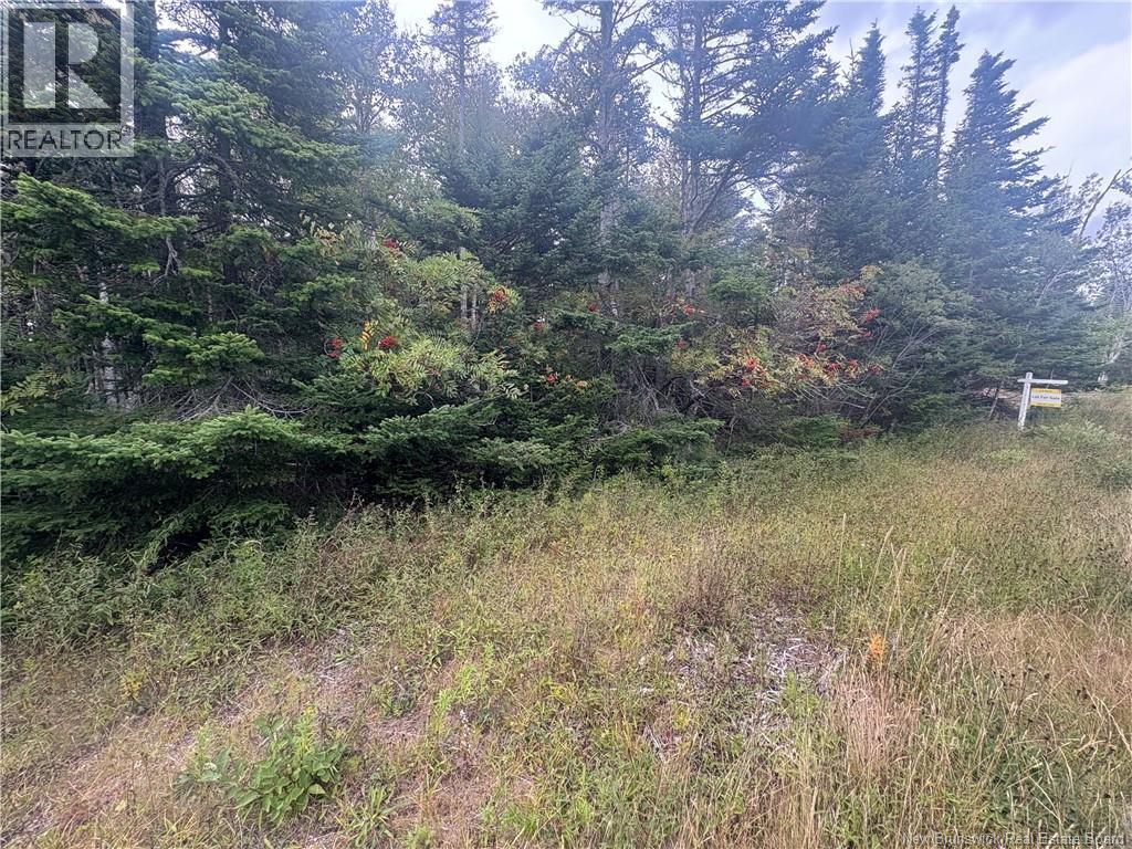 Na Ridge Road, Maces Bay, New Brunswick  E5J 1V4 - Photo 2 - NB126229