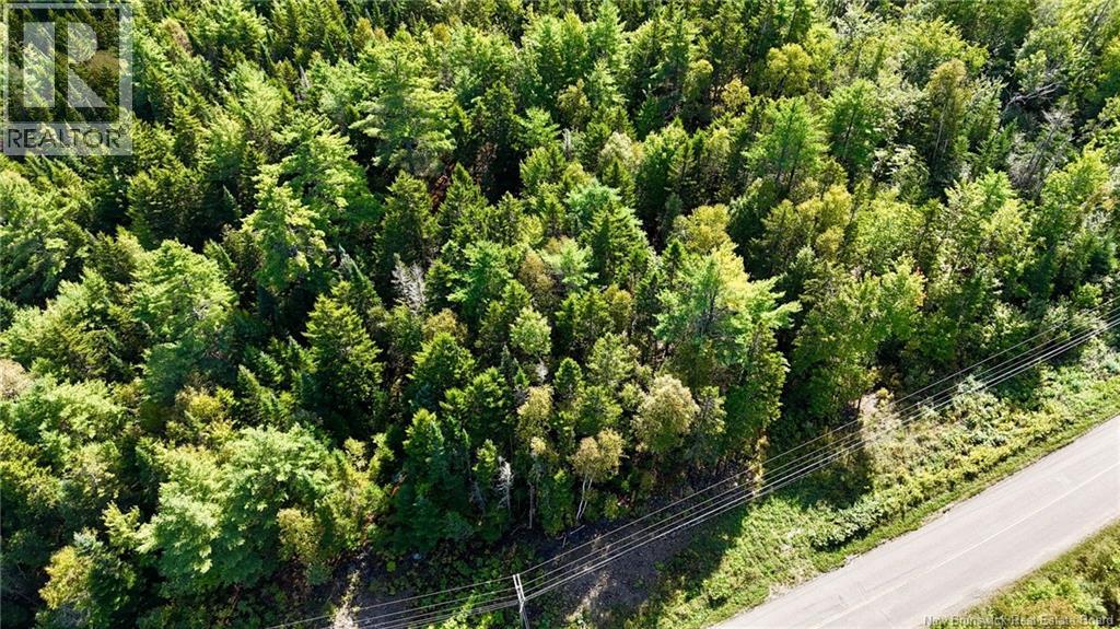 00 745 Route, Oak Hill, New Brunswick  E5A 2E2 - Photo 10 - NB126478