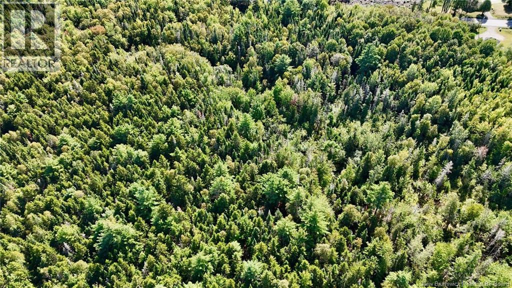 00 745 Route, Oak Hill, New Brunswick  E5A 2E2 - Photo 13 - NB126478